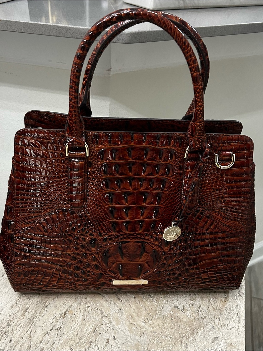 NWT Brahmin Small Finley Melbourne Pecan Croc Satchel Handbag w Dustbag $385 - Picture 2 of 9